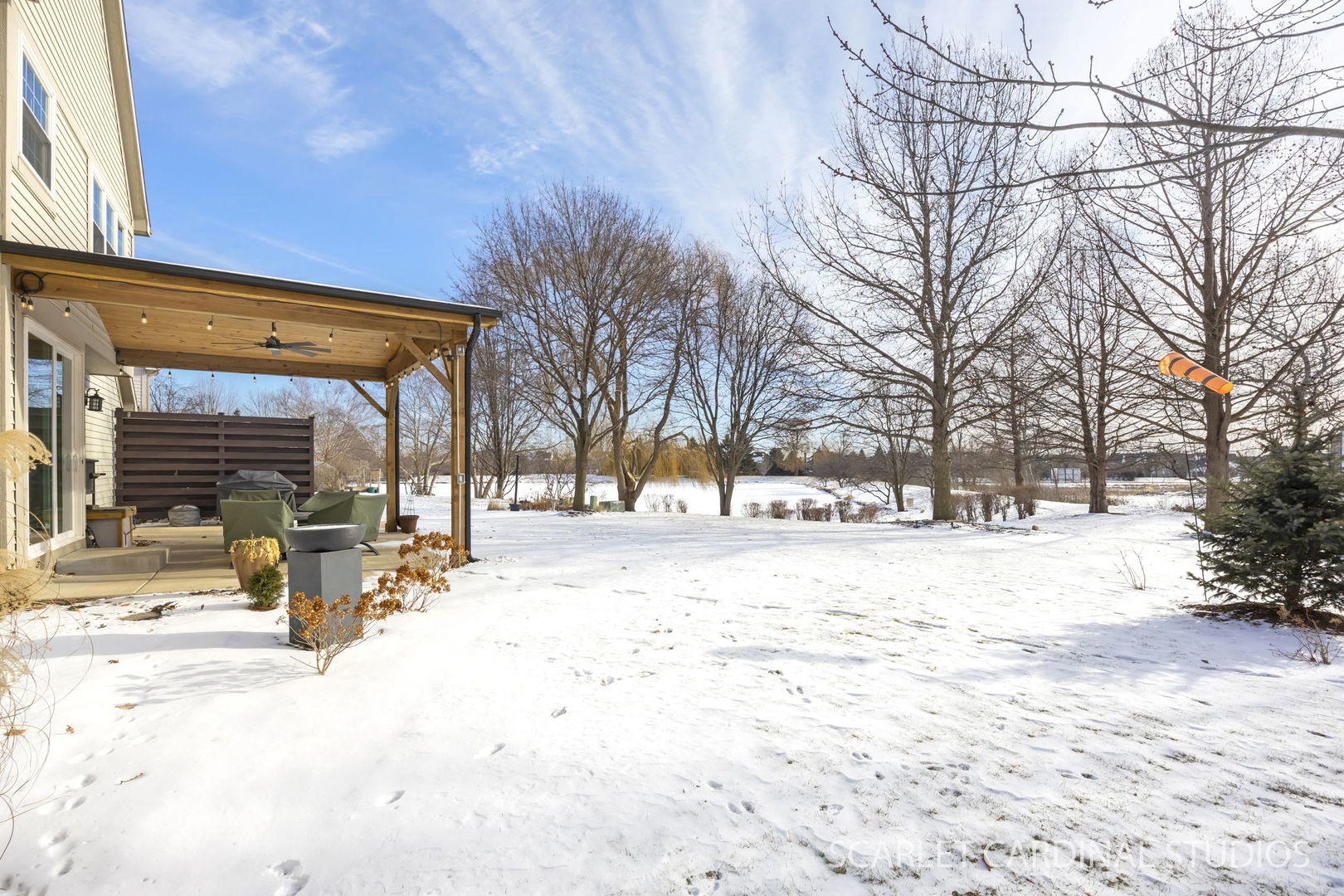 26115 Mapleview Drive Plainfield, IL 60585 - Photo 35 of 36 a view of snow on the road