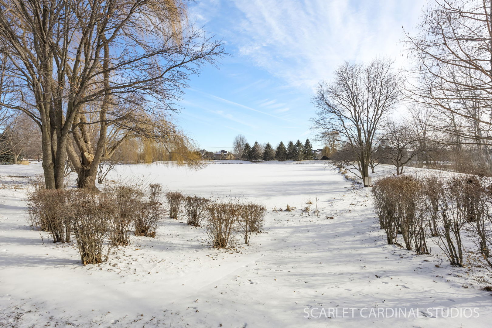 26115 Mapleview Drive Plainfield, IL 60585 - Photo 36 of 36 a view of road with covered with snow