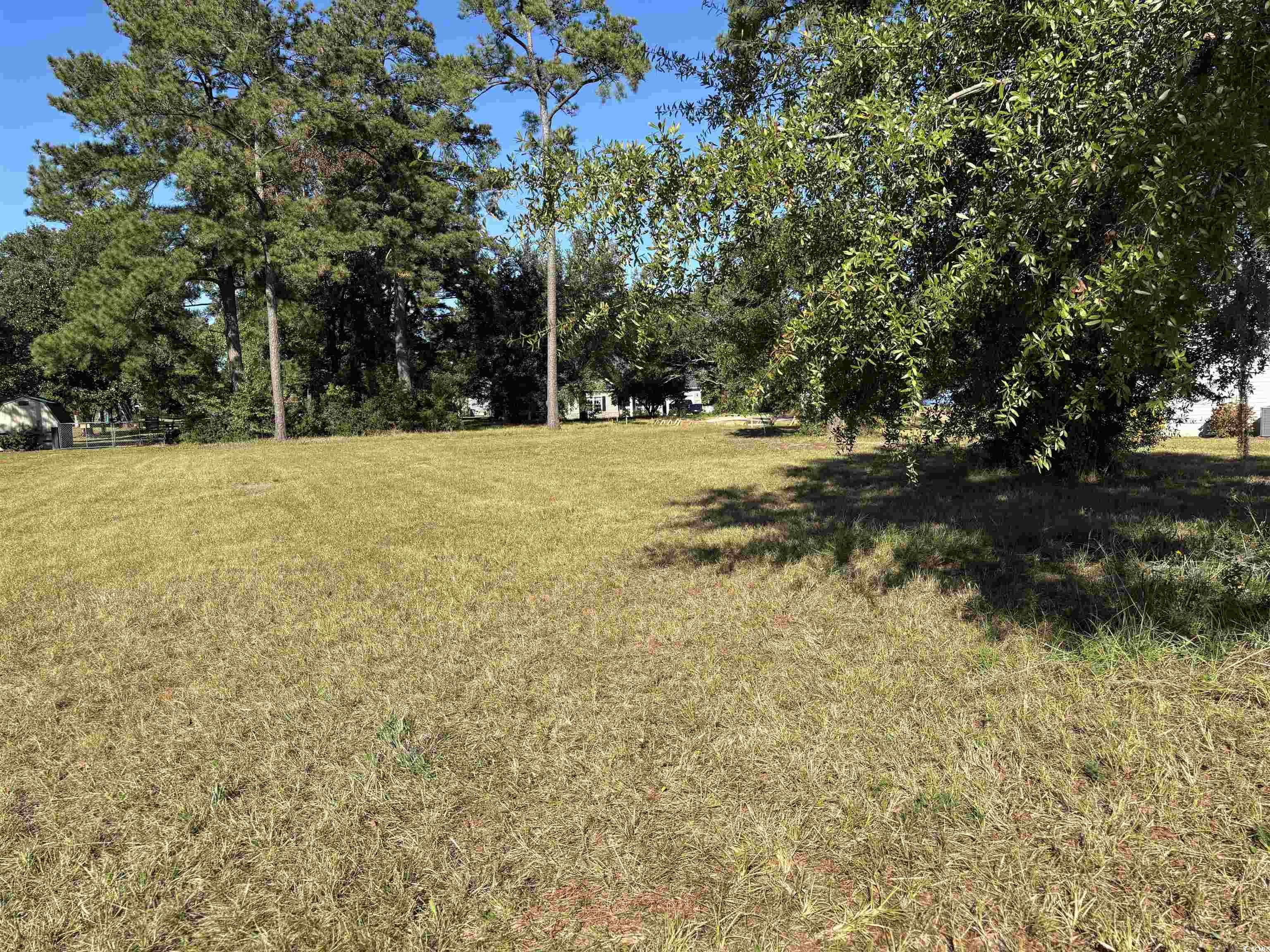 Lot 161 Seaport Circle Georgetown, SC 29440 - Photo 17 of 31