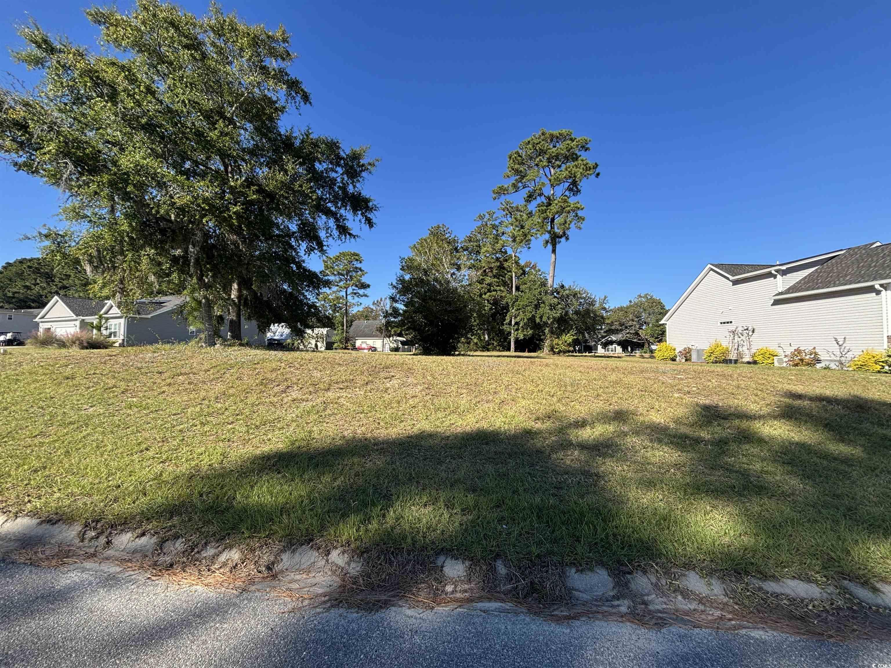 Lot 161 Seaport Circle Georgetown, SC 29440 - Photo 4 of 31