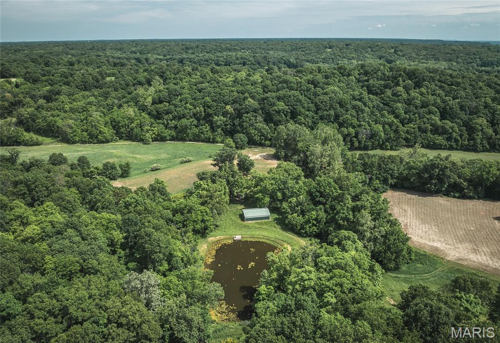 1757 Infidel Hollow Road Mozier, IL 62070 - Photo 22 of 52