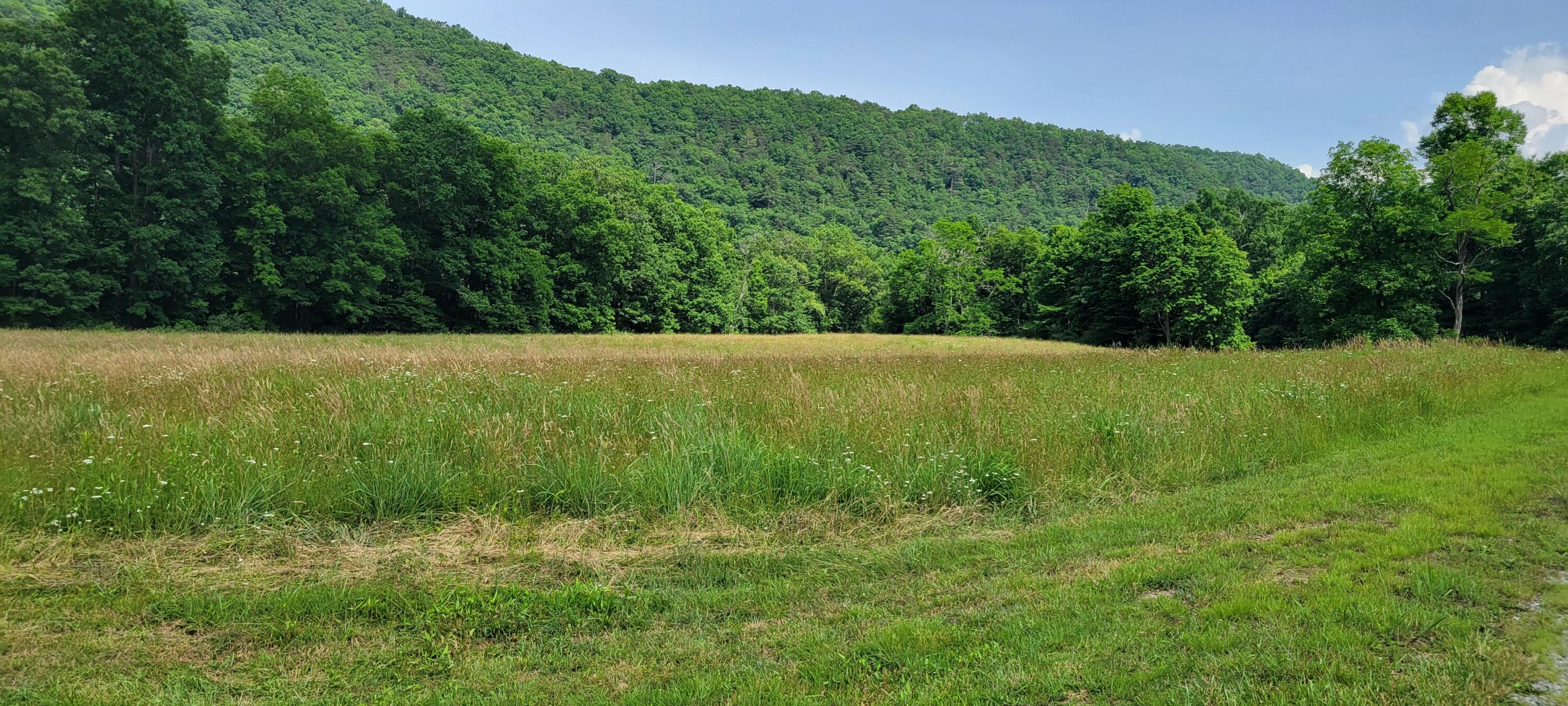Lot 3 Spice Run Road Hillsboro, WV 24946 - Photo 7 of 15 Gallery Image 7