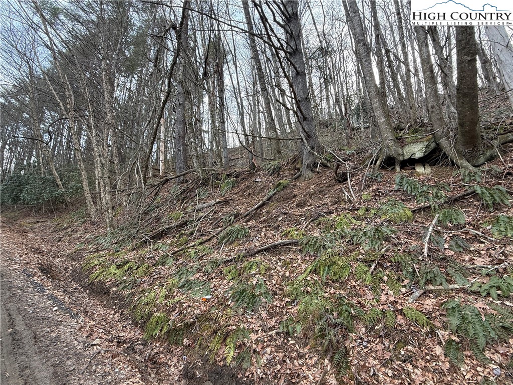 Pritchard Road West Jefferson, NC 28694 - Photo 1 of 8 a view of backyard with green space