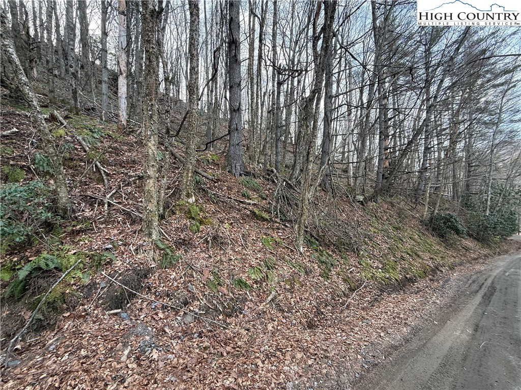 Pritchard Road West Jefferson, NC 28694 - Photo 5 of 8 a view of a yard with large trees