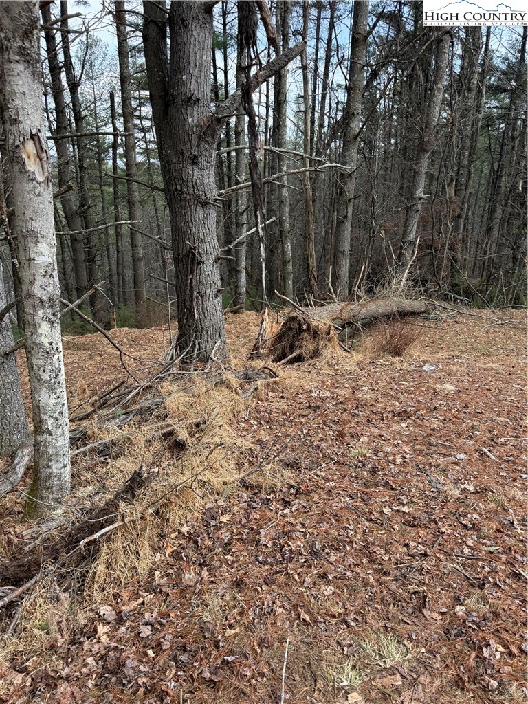 Pritchard Road West Jefferson, NC 28694 - Photo 7 of 8 a view of a tree with a yard