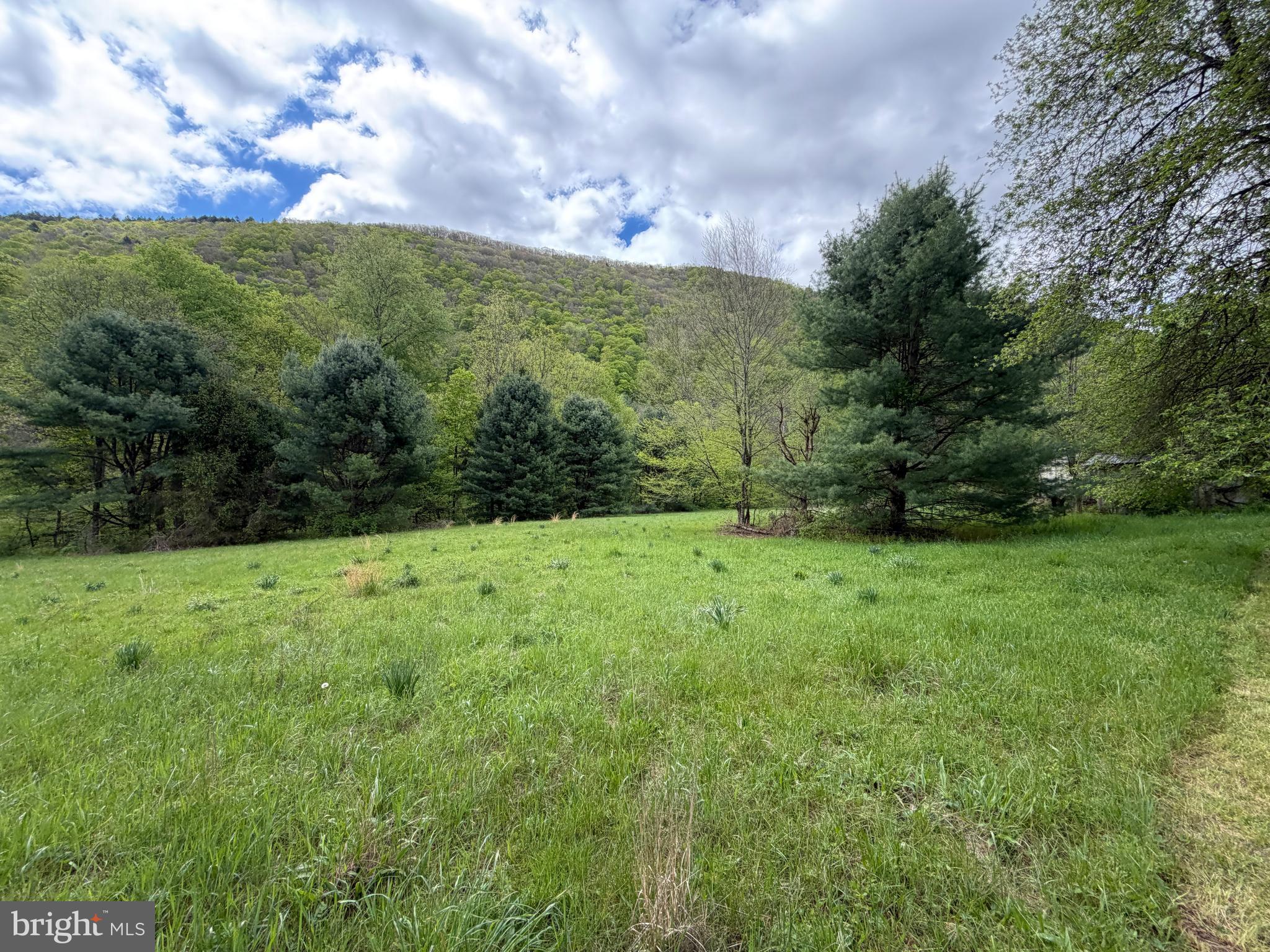 1227 Cross Fork Creek Road Cross Fork, PA 17729 - Photo 108 of 139