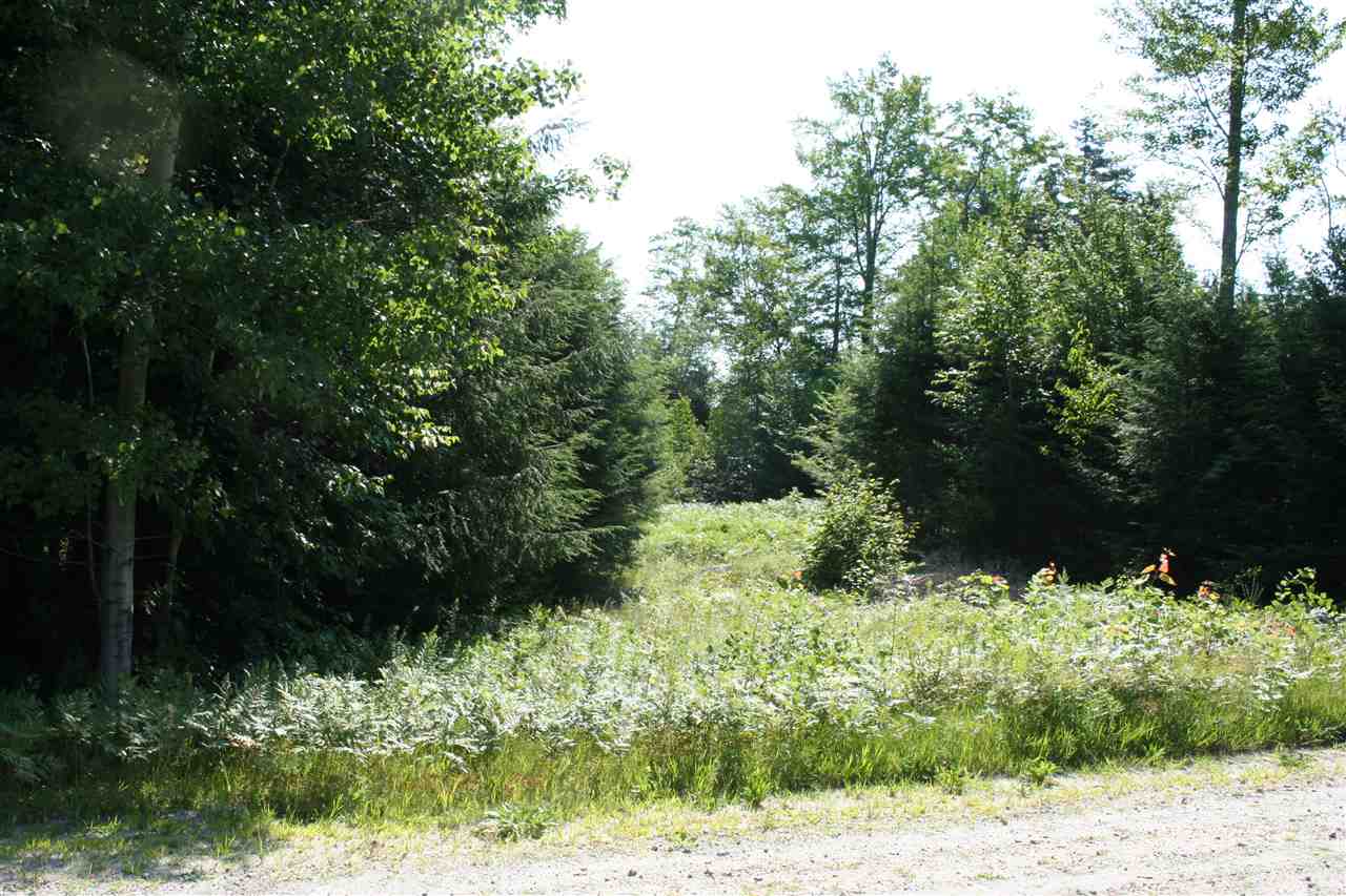 0 Lot 16 North Ridge Road Bradford, NH 03221 - Photo 2 of 15