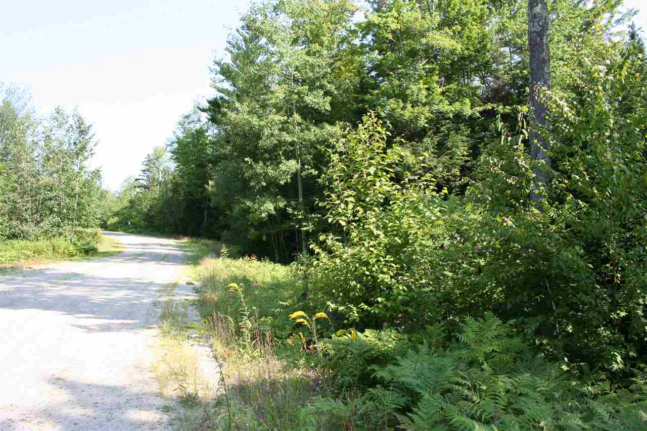0 Lot 16 North Ridge Road Bradford, NH 03221 - Photo 3 of 15