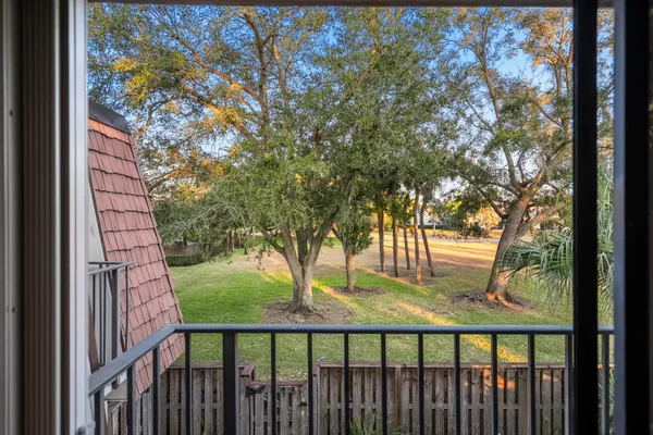 a view of a trees in a yard