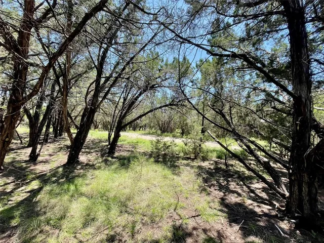 $3,700 | 145 Milestone Road, Liberty Hill, TX 78642