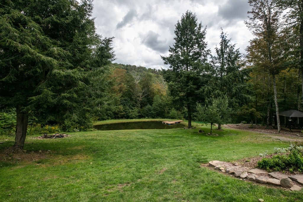 91 South Elk Run Road Wellsboro, PA 16901 - Photo 65 of 75 Gallery Image 65