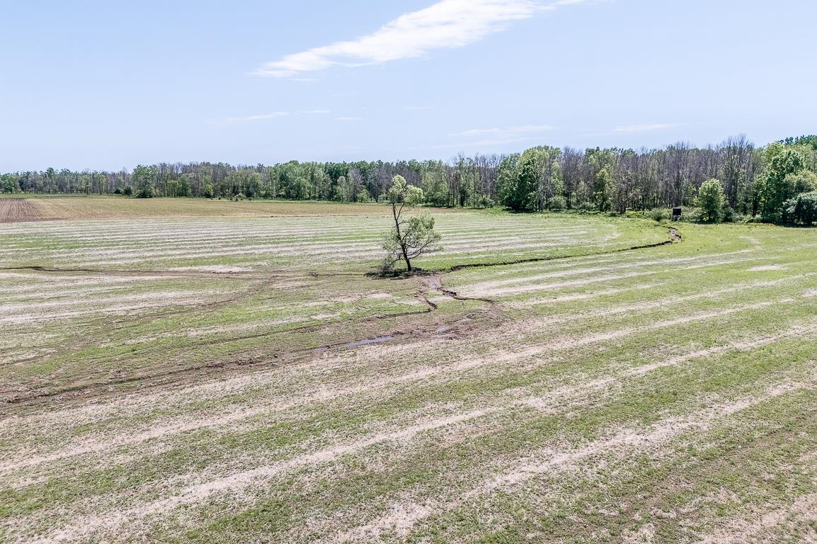 Garrity Road Manawa, WI 54949 - Photo 14 of 21