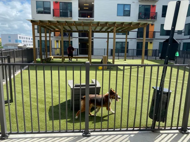 $1,212 | 3550 Main Street, Unit 5209, Houston, TX 77002