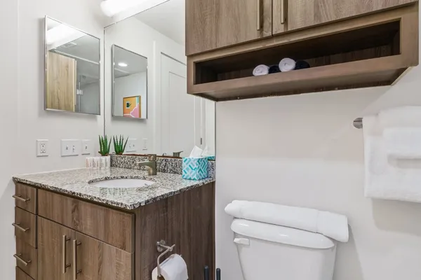 a bathroom with a sink a toilet and mirror