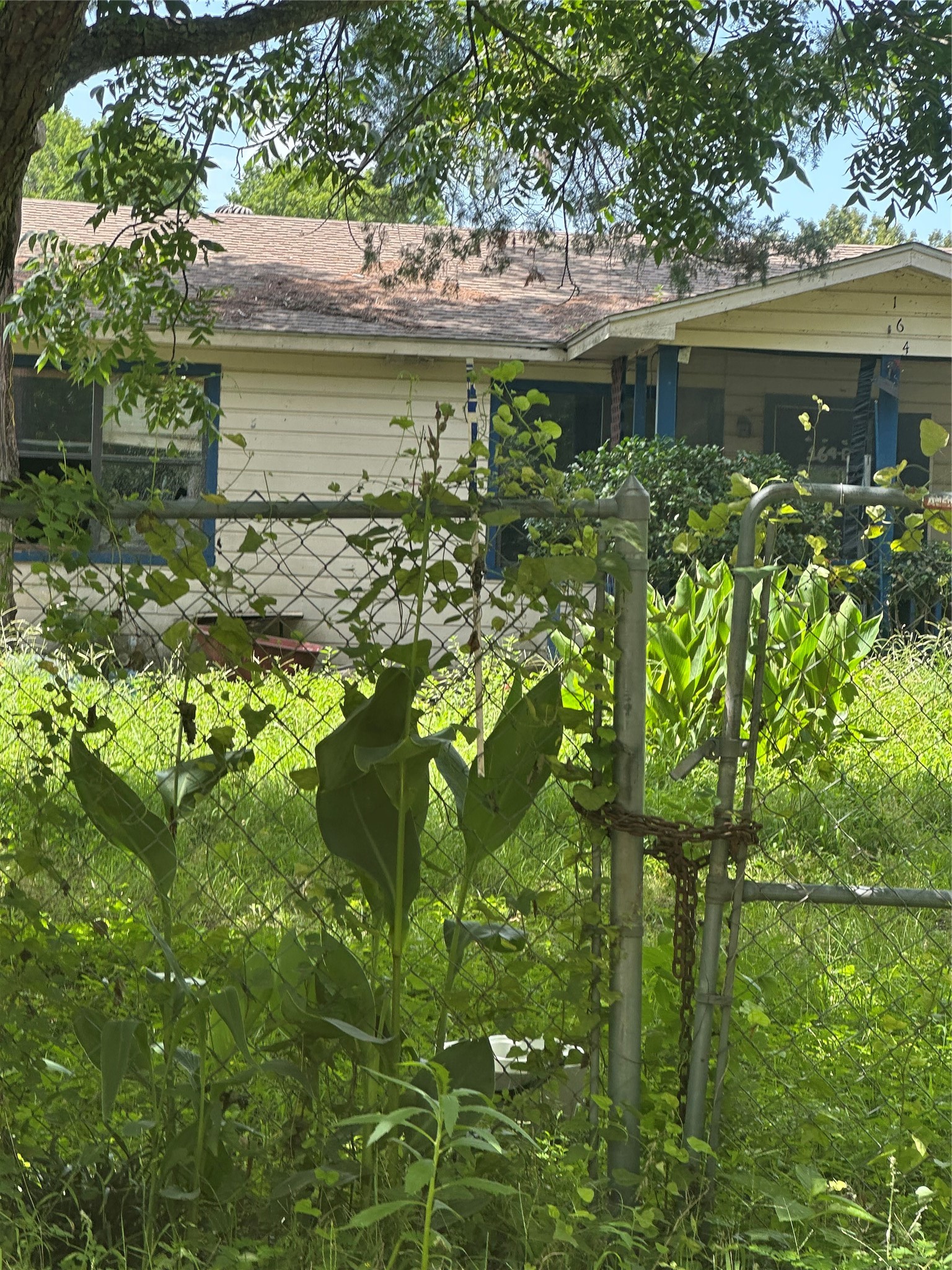 164 Moon Mist Drive Trinity, TX 75862 - Photo 10 of 19