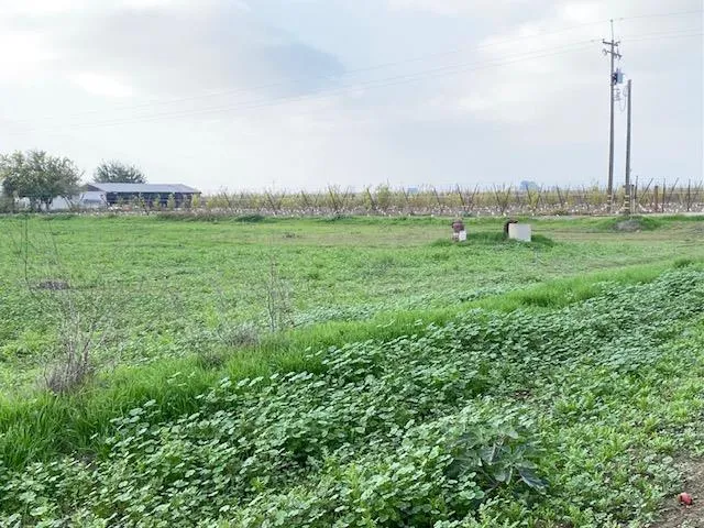 a view of an outdoor space and a yard