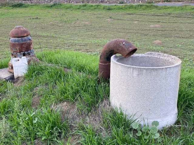 a view of a lake from a yard