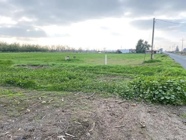 a view of a grassy field