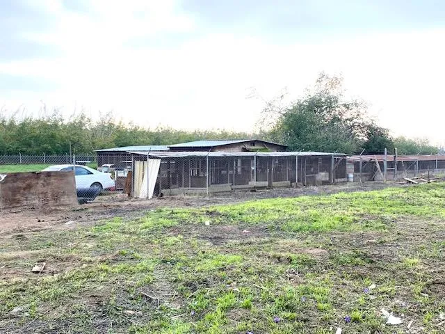 a view of a terrace with a garden and barbeque oven