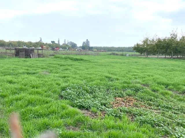 a view of outdoor space with deck and yard