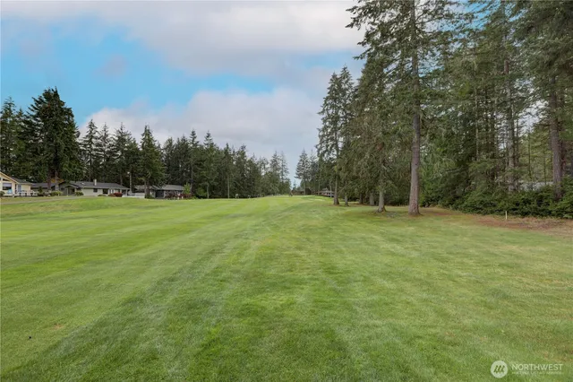 a view of a field with trees in the background