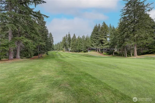 a view of a field with trees in the background