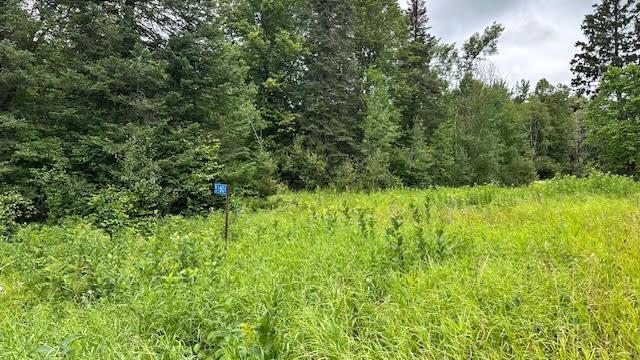 51801 Townhall Road Squaw Lake, MN 56681 - Photo 2 of 9