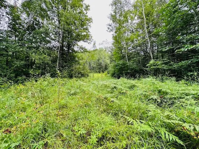 $39,900 | 51801 Townhall Road, Squaw Lake, MN 56681