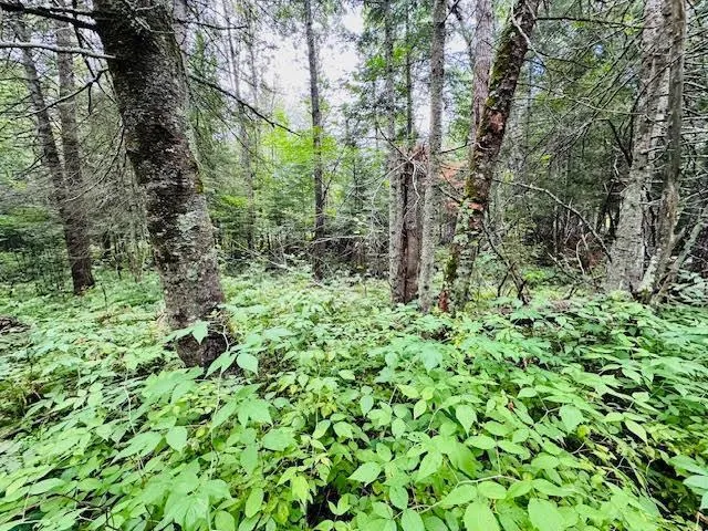 $39,900 | 51801 Townhall Road, Squaw Lake, MN 56681