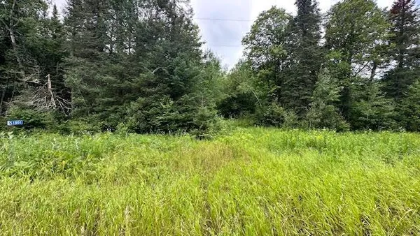 $39,900 | 51801 Townhall Road, Squaw Lake, MN 56681