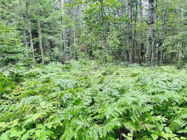 $39,900 | 51801 Townhall Road, Squaw Lake, MN 56681