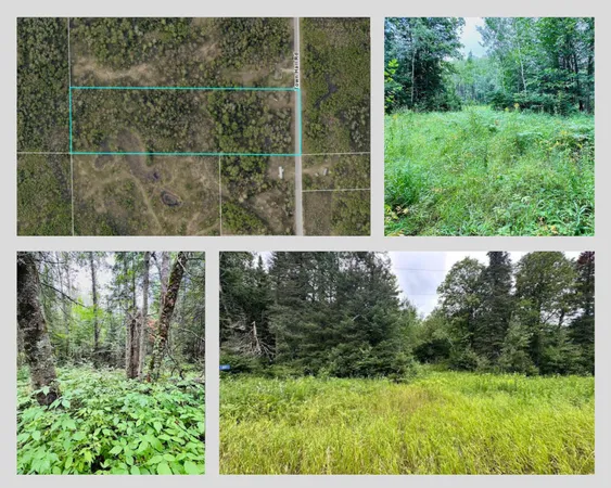 $39,900 | 51801 Townhall Road, Squaw Lake, MN 56681