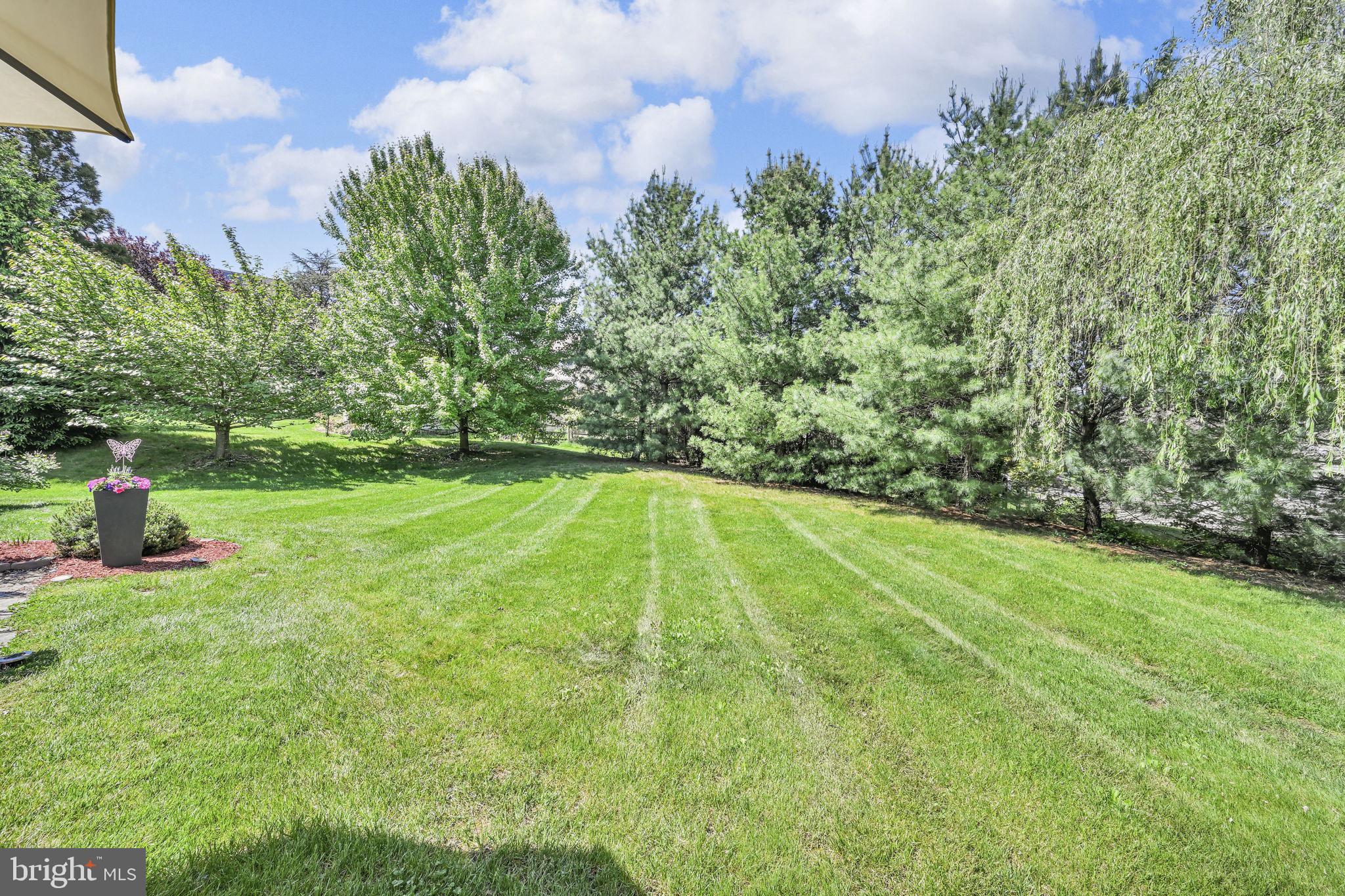 510 Martins Road Reading, PA 19608 - Photo 40 of 52 Lush green oasis with serene trees.
