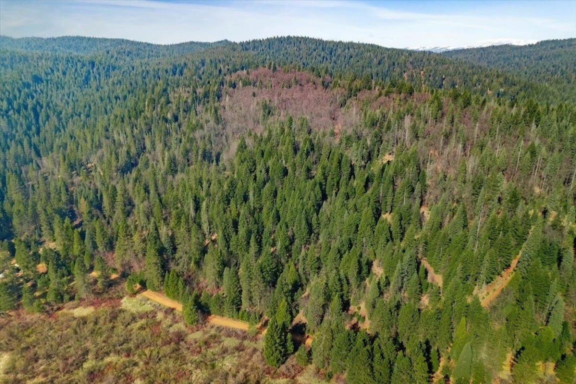 Lot 4 Circle 7 Road McCloud, CA 96057 - Photo 10 of 13 Gallery Image 10