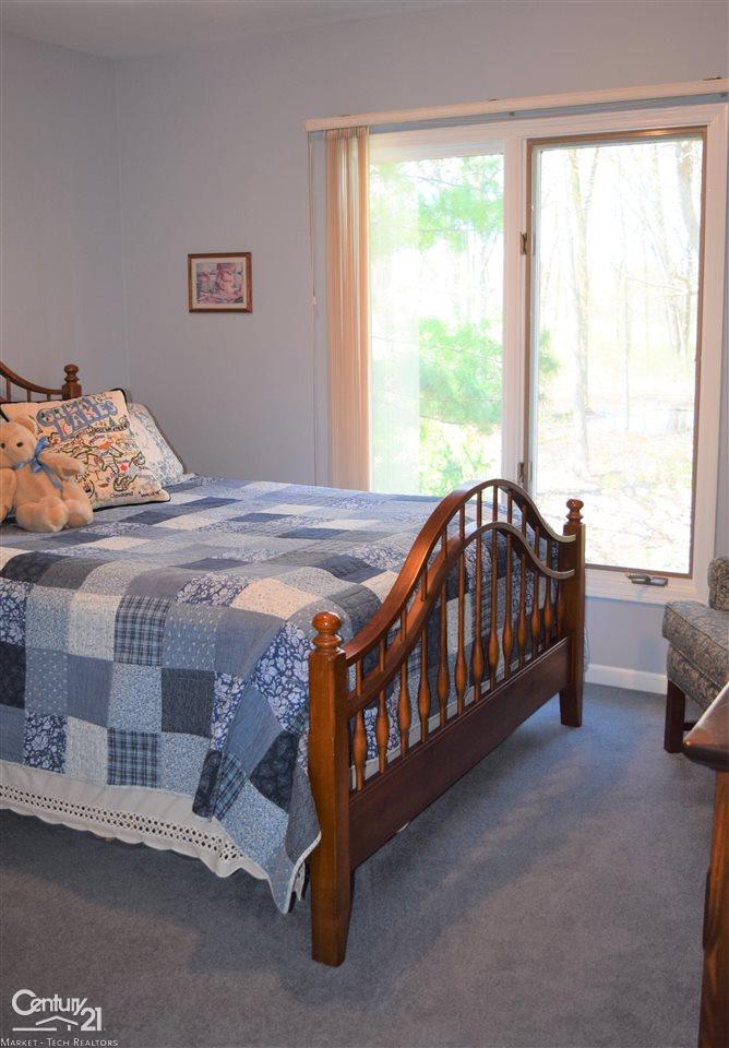 49253 Monte Road New Baltimore, MI 48047 - Photo 44 of 73