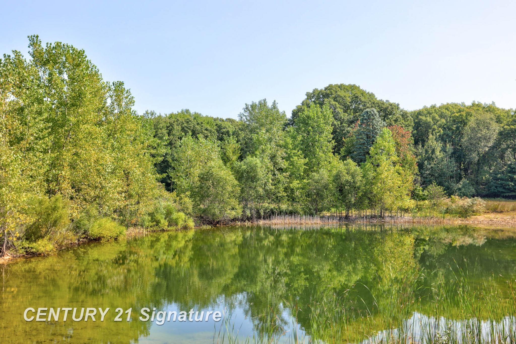 1381 South Brennan Road Hemlock, MI 48626 - Photo 42 of 63