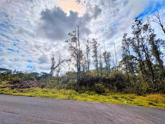 a view of swimming pool and trees in the background