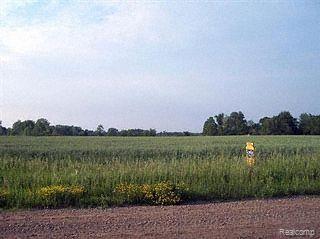 0 Jeddo Road Avoca, MI 48006 - Photo 1 of 1 View 1