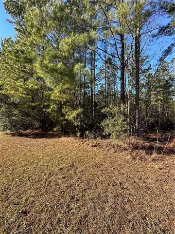 $15,000 | 0 Big Horse Drive, Waynesville, GA 31566