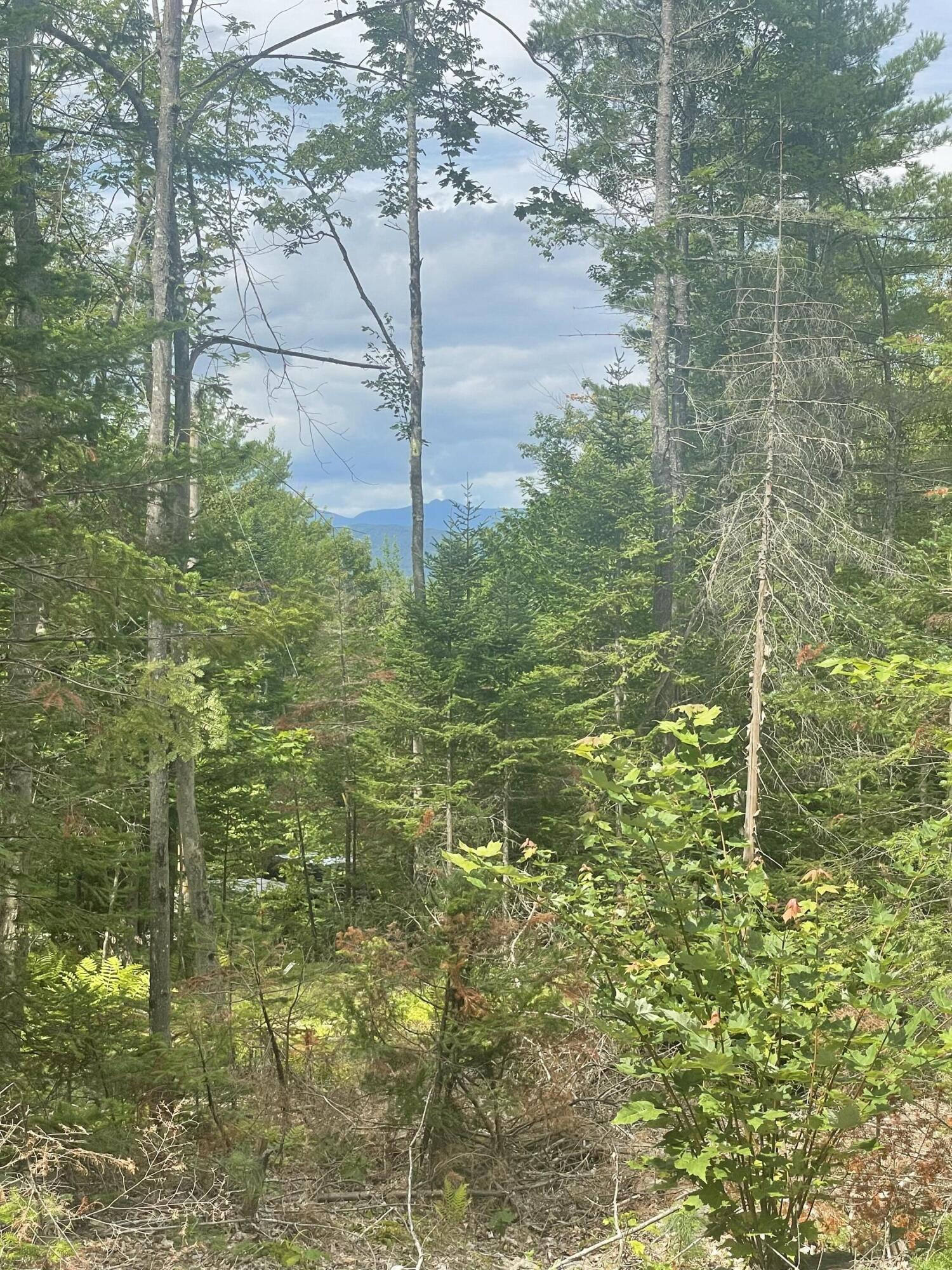Tbd Grandview Road Bethel, ME 04217 - Photo 12 of 12 5B71C2C7-F963-4FA9-A67B-948D3AD2135D