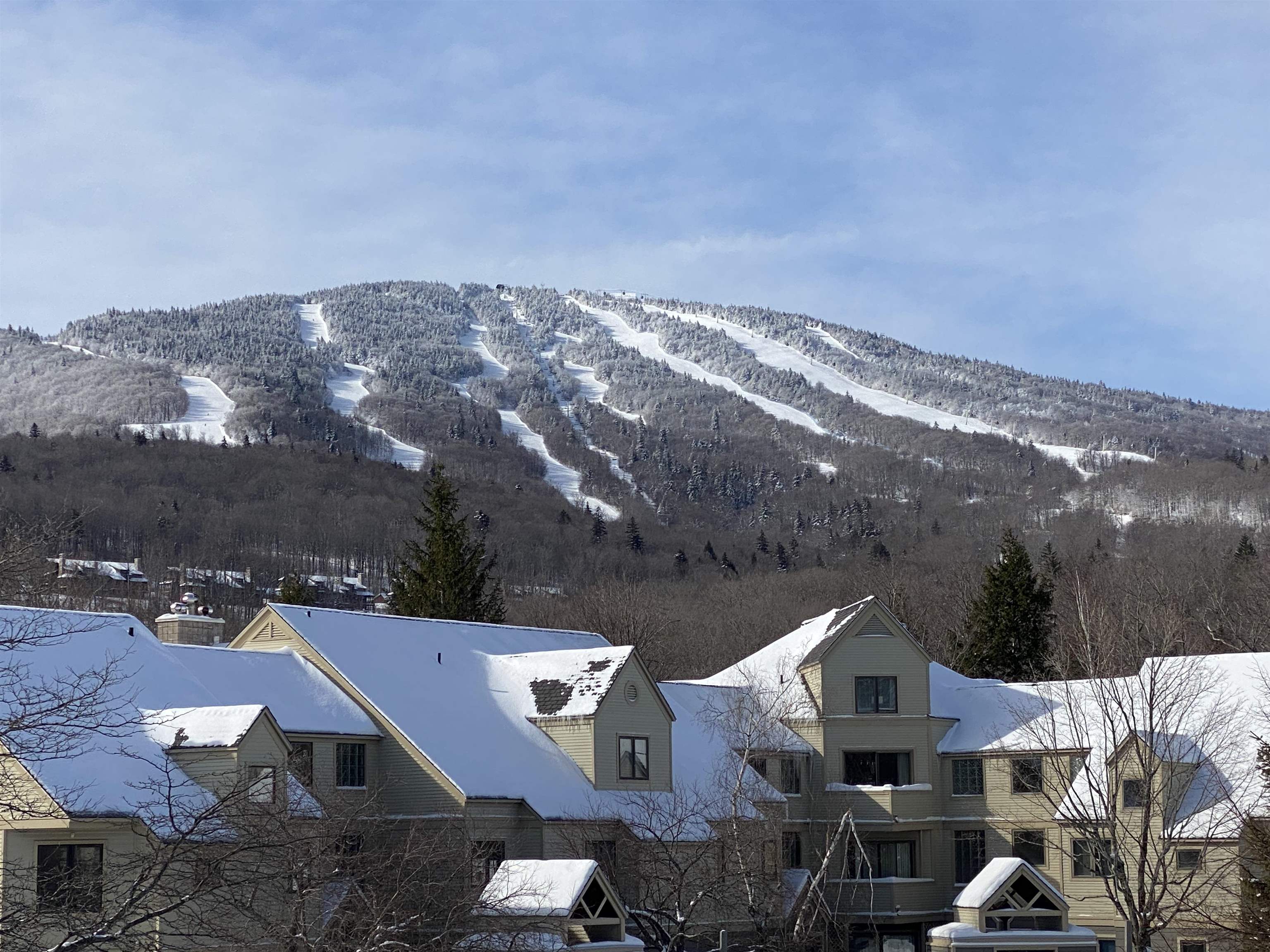 43 High Point Drive, Unit D21 Stratton, VT 05155 - Photo 4 of 21 Gallery Image 4