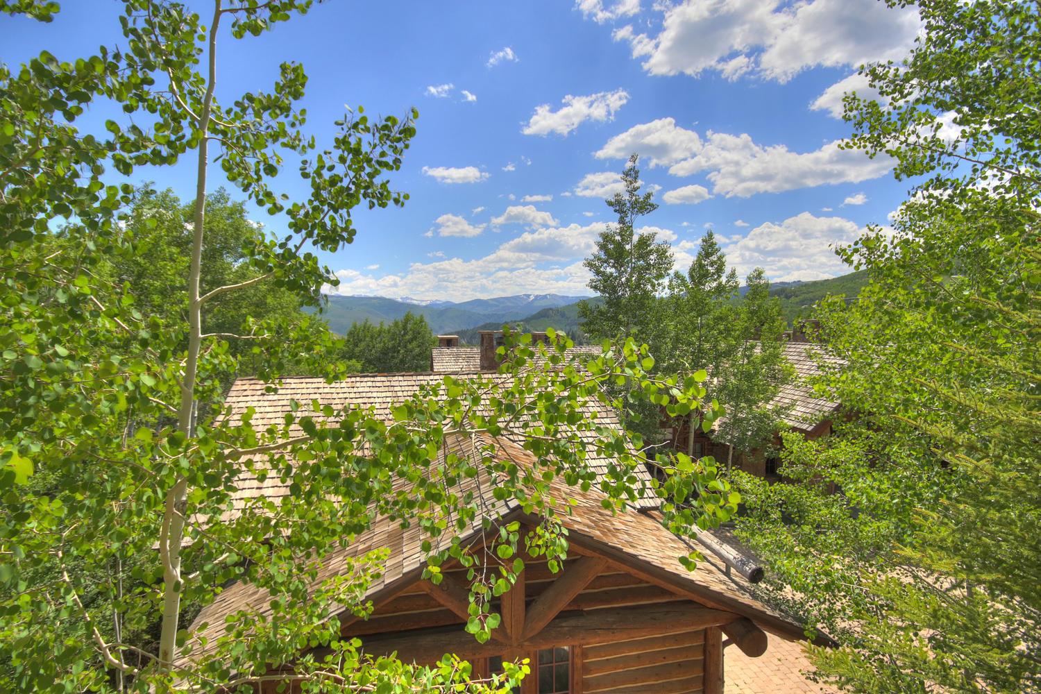 924 Bachelor Ridge Road Beaver Creek, CO 81620 - Photo 54 of 57 a view of a garden