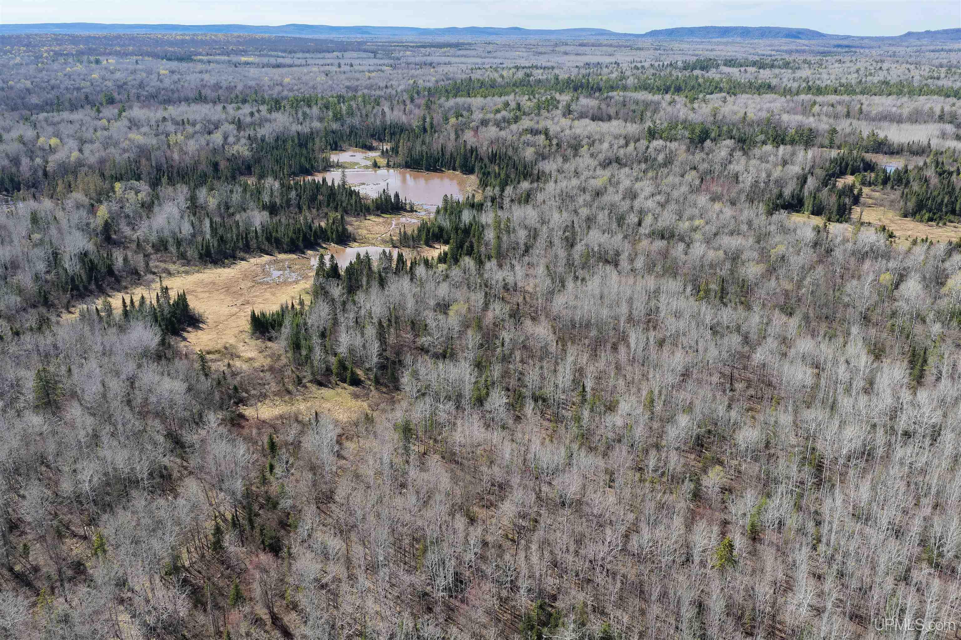 Tbd Tbd Burma Road Ewen, MI 49925 - Photo 4 of 18