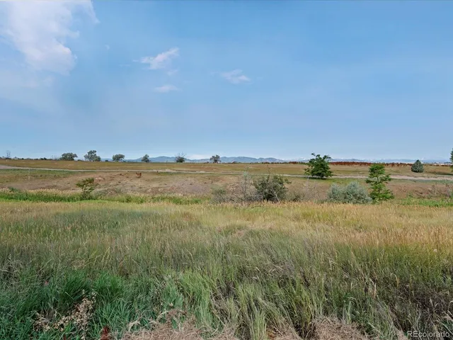 $599,900 | 10111 Eaton Street, Westminster, CO 80020