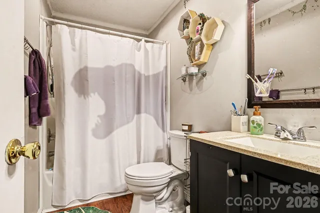 a bathroom with a sink vanity mirror and toilet