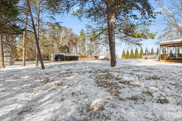 a view of a yard with trees