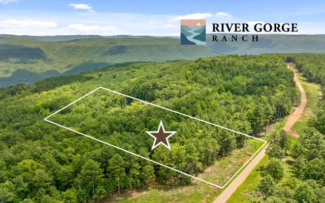 $325,000 | Lot 1205 Big View Road, Guild, TN 37340
