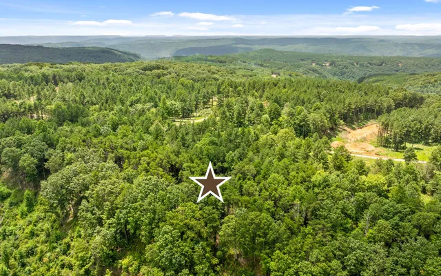 $325,000 | Lot 1205 Big View Road, Guild, TN 37340