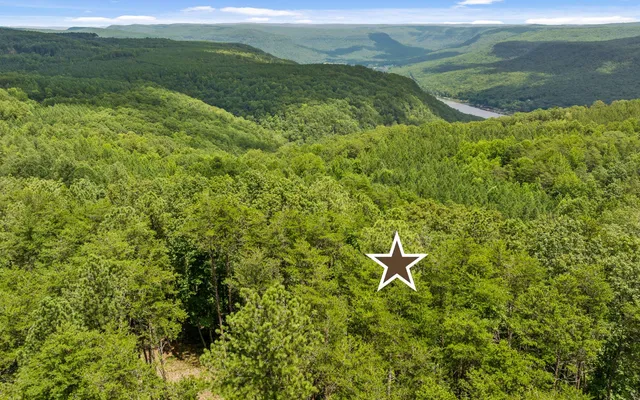 $325,000 | Lot 1205 Big View Road, Guild, TN 37340