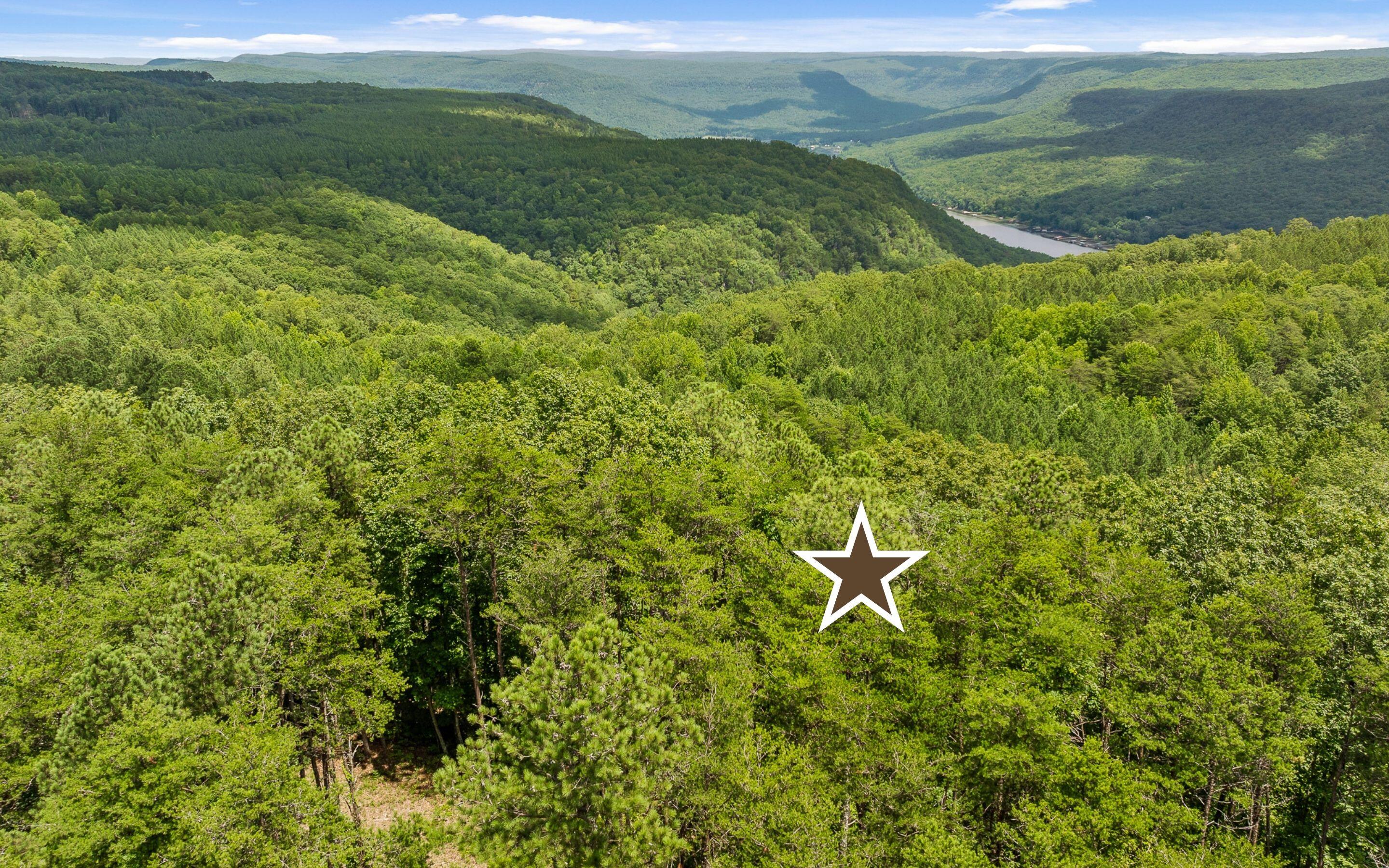 Lot 1205 Big View Road Guild, TN 37340 - Photo 17 of 21 Private and Secluded